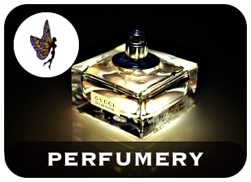 logo Perfumes AromaWomen