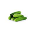 Field Cucumber ≈ 1000 gr.