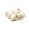 White Mushrooms ≈ 500 gr.