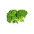Broccoli ≈ 1000 gr.