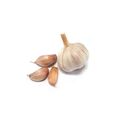 Garlic ≈ 2 heads 100 gr.
