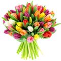 bouquet-tulips