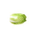 Chinese Cabbage Bunch 1 pcs.