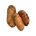 Potatoes Cyprus