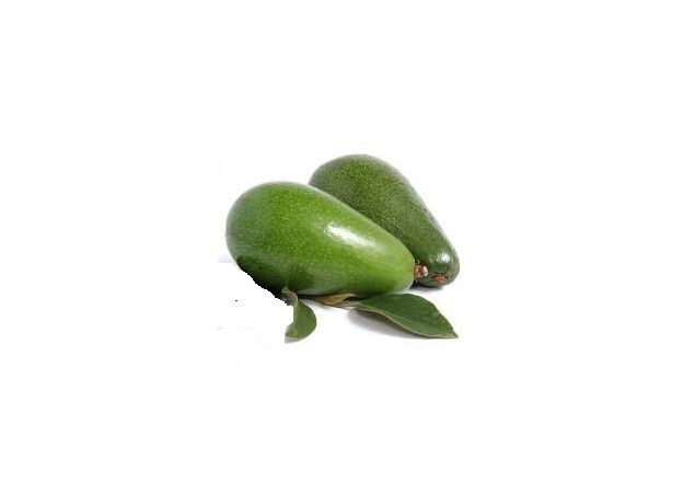 Avocado ≈ 1000 gr.